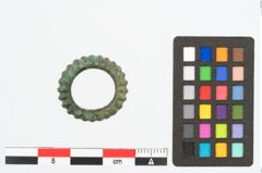 Foto von Bronzering (NHMW-PRAE-026640)